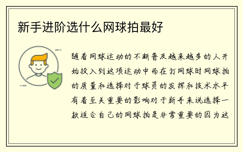 新手进阶选什么网球拍最好